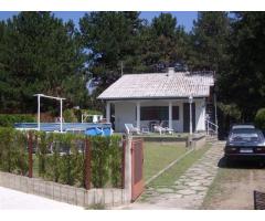Odmor u Vincima, na Dunavu, u borovoj šumi, povoljno