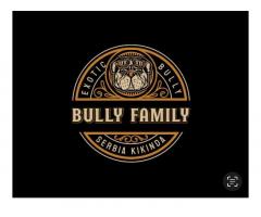 American bully exotic štenci
