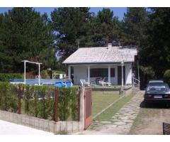 Odmor u Vincima, na Dunavu, u borovoj šumi, povoljno